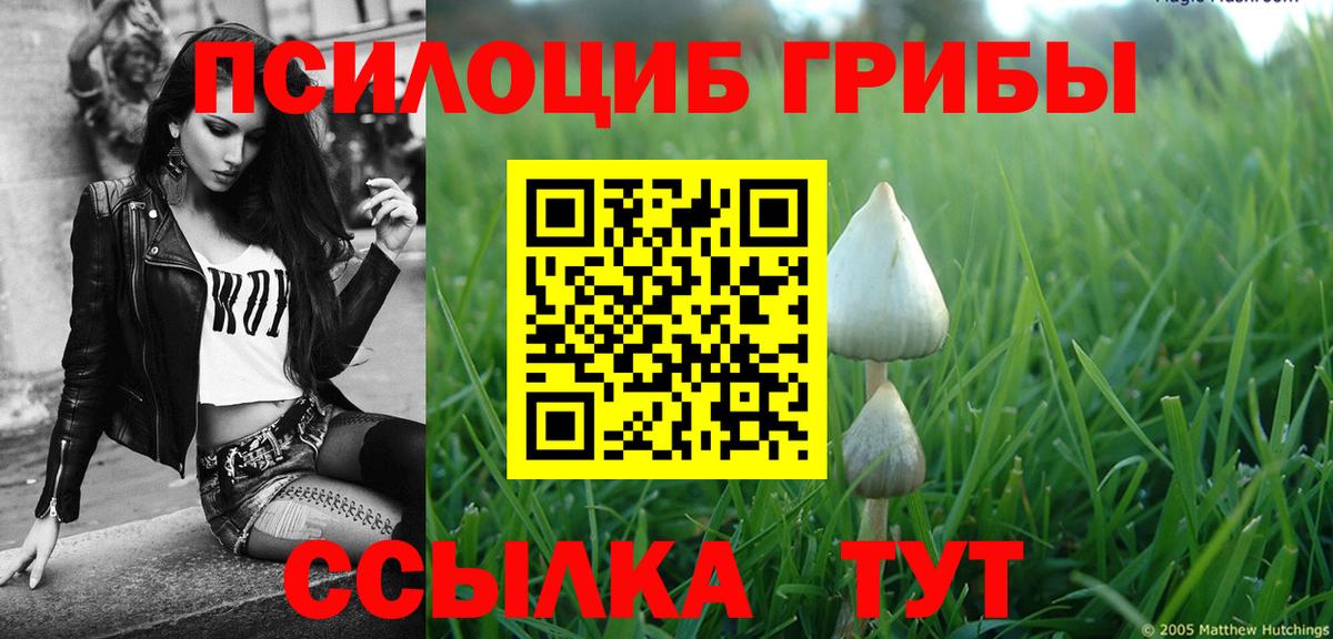 Псилоцибиновые грибы Magic Shrooms Раменское
