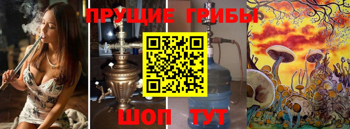 Раменское  Псилоцибиновые грибы MAGIC MUSHROOMS  Галлюциногенные грибы Cubensis  Вход с VPN 